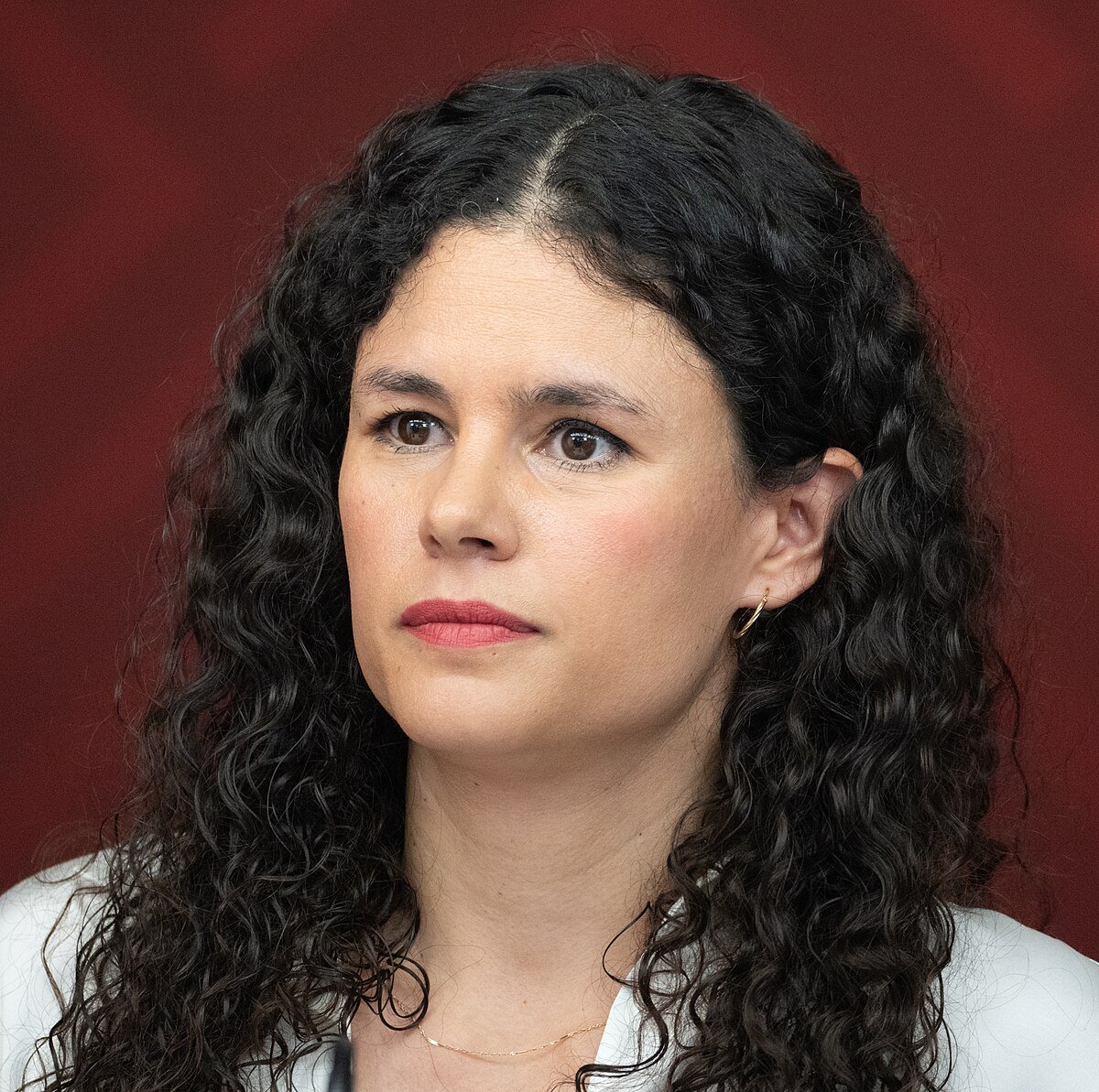 Luisa María Alcalde Luján
