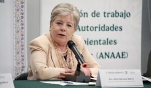 Alicia Bárcena Ibarra