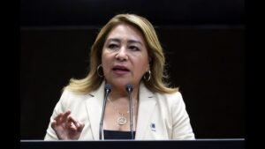 María del Carmen Cabrera Lagunas