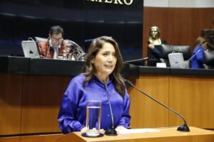 Ivideliza Reyes Hernández