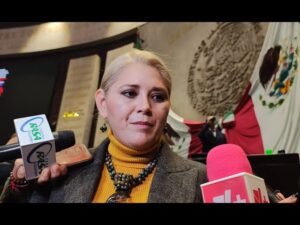 Verónica Camino Farjat