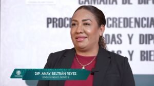 Anay Beltrán Reyes