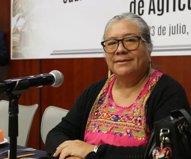 Luisa Cortés García