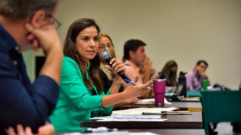 Anabel Acosta Islas (Partido Verde Ecologista (PVEM)), Diputado Federal, perfil político en Wikipol