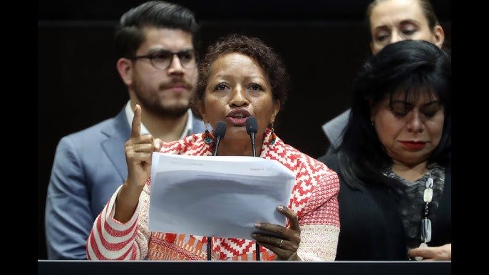 Rosa María Castro Salinas (Movimiento de Regeneración Nacional (MORENA)), Diputado Federal, perfil político en Wikipol