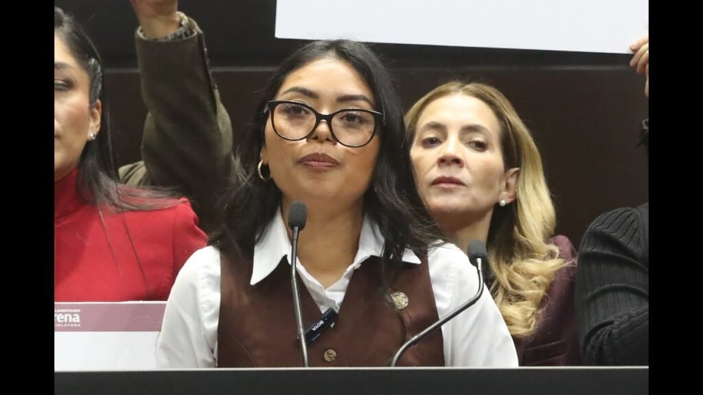 Elizabeth Cervantes de la Cruz (Movimiento de Regeneración Nacional (MORENA)), Diputado Federal, perfil político en Wikipol
