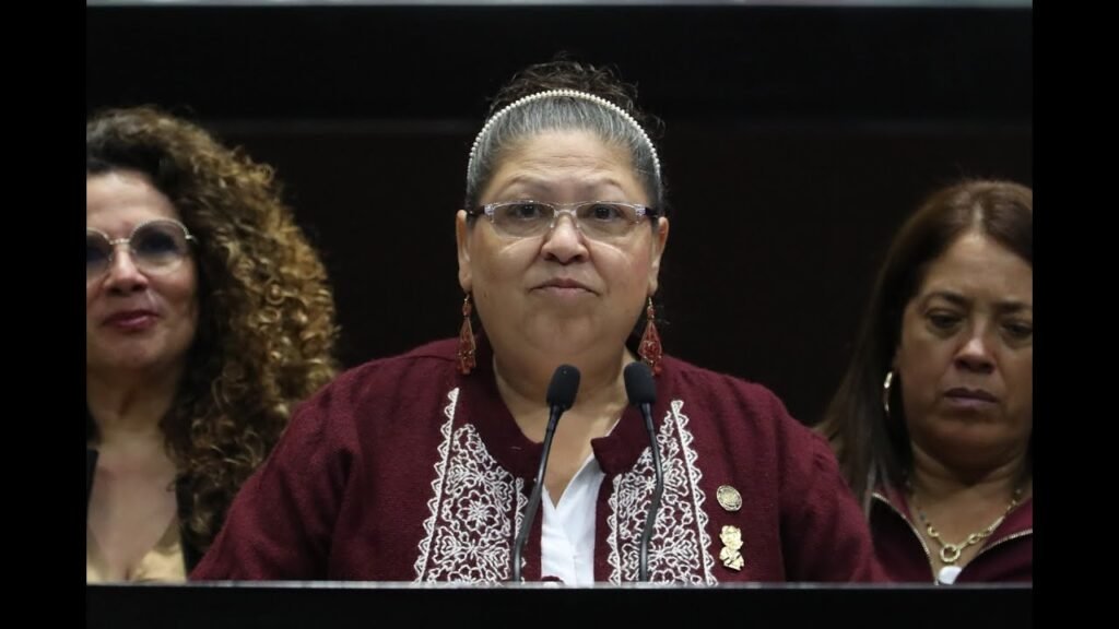 Olga Leticia Chávez Rojas (Movimiento de Regeneración Nacional (MORENA)), Diputado Federal, perfil político en Wikipol