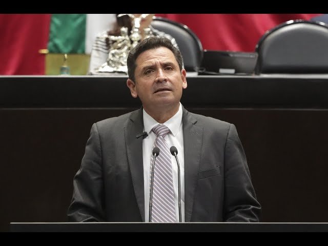 Locho Morán (Movimiento de Regeneración Nacional (MORENA)), Diputado Federal, perfil político en Wikipol