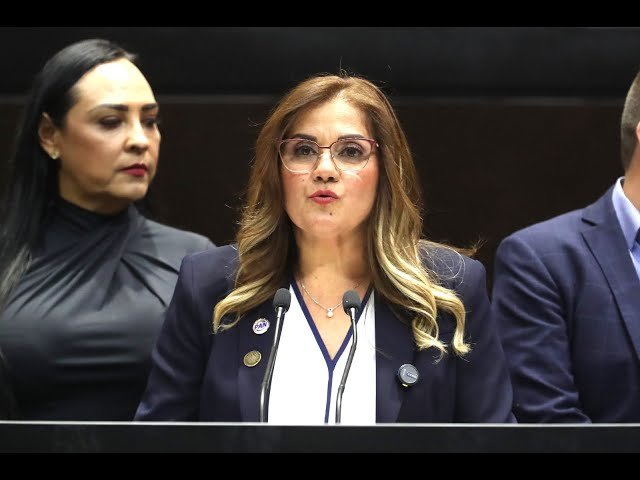 Claudia Quiñones Garrido (Partido Acción Nacional (PAN)), Diputado Federal, perfil político en Wikipol