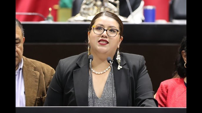 Delhi Miroslava Shember Domínguez (Movimiento de Regeneración Nacional (MORENA)), Diputado Federal, perfil político en Wikipol