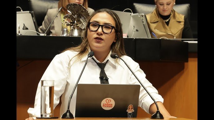 Estela Carina Piceno Navarro (Movimiento de Regeneración Nacional (MORENA)), Diputado Federal, perfil político en Wikipol
