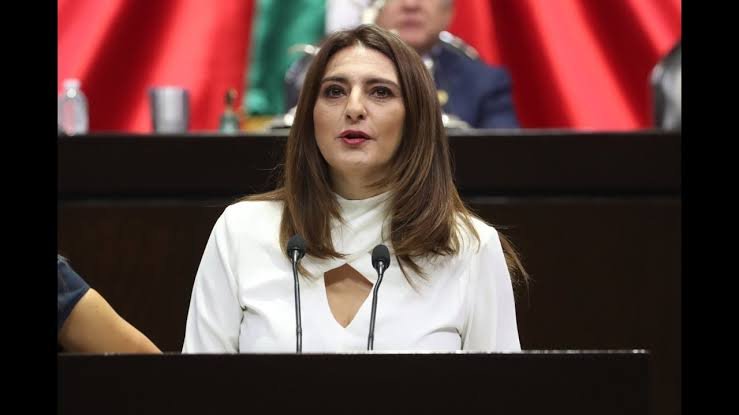 Maiella Martha Gabriela Gómez Maldonado (Movimiento de Regeneración Nacional (MORENA)), Diputado Federal, perfil político en Wikipol