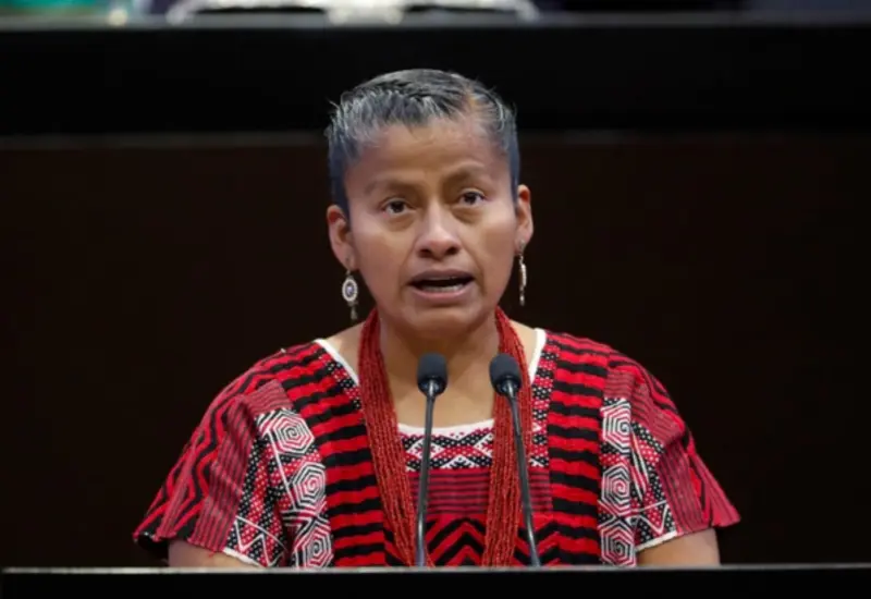 Irma Juan Carlos (Movimiento de Regeneración Nacional (MORENA)), Diputado Federal, perfil político en Wikipol