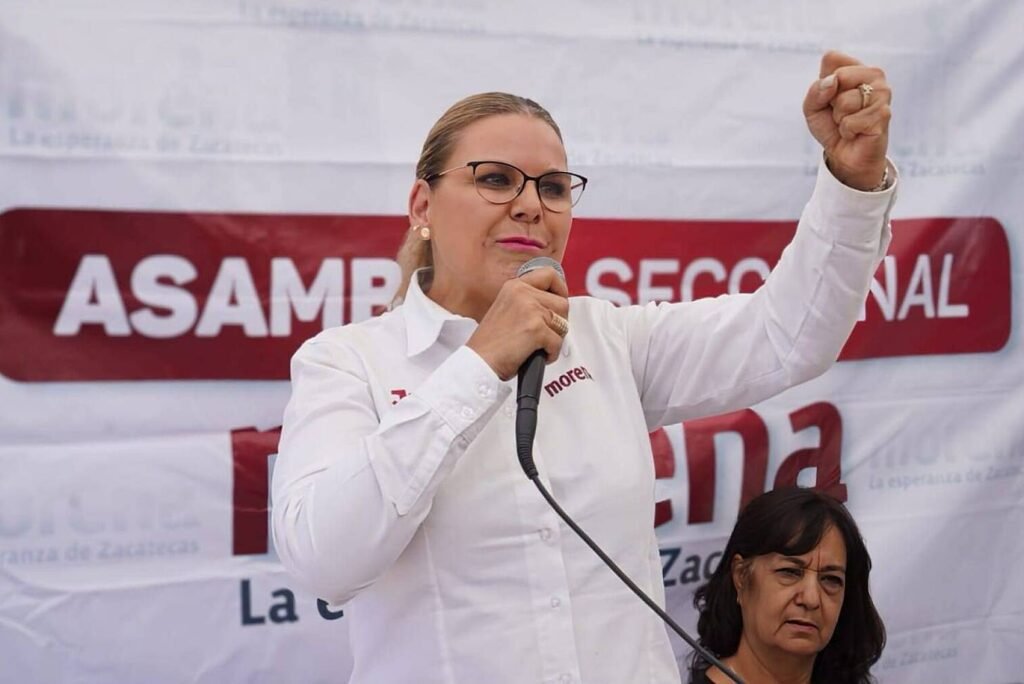 Julia Arcelia Olguín Serna (Movimiento de Regeneración Nacional (MORENA)), Diputado Federal, perfil político en Wikipol