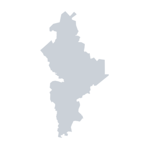 Silueta de Nuevo León