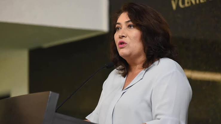 Nelly del Carmen Márquez Zapata (Partido Acción Nacional (PAN)), Político, perfil político en Wikipol
