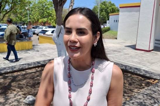 Rosa María Bayardo Cabrera (Movimiento de Regeneración Nacional (MORENA)), Presidente Municipal, perfil político en Wikipol