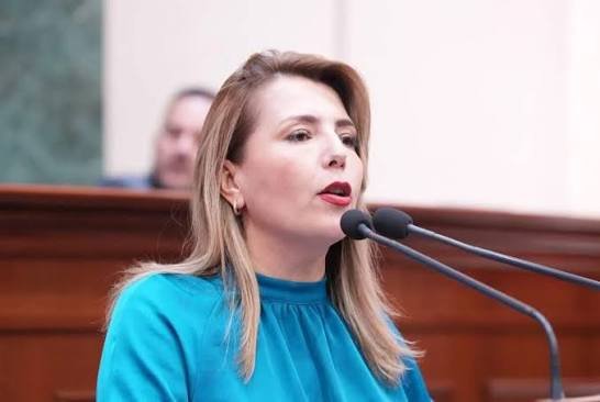 Roxana Rubio Valdez (Partido Acción Nacional (PAN)), Diputado Local, perfil político en Wikipol
