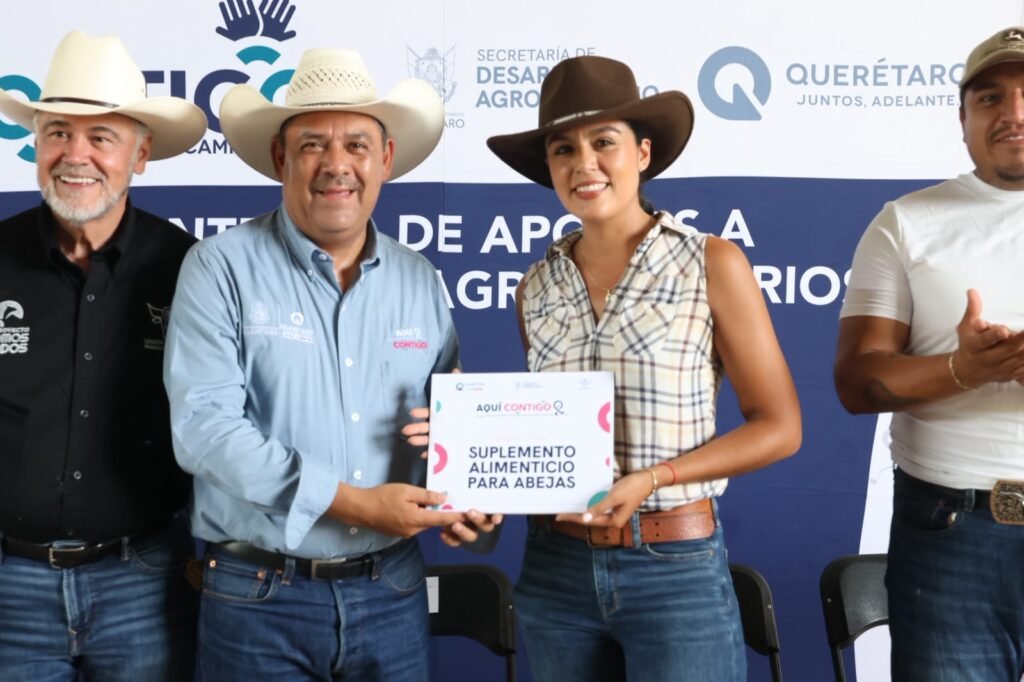 Mauricio Kuri González (Partido Acción Nacional (PAN)), actividad política documentada en Wikipol
