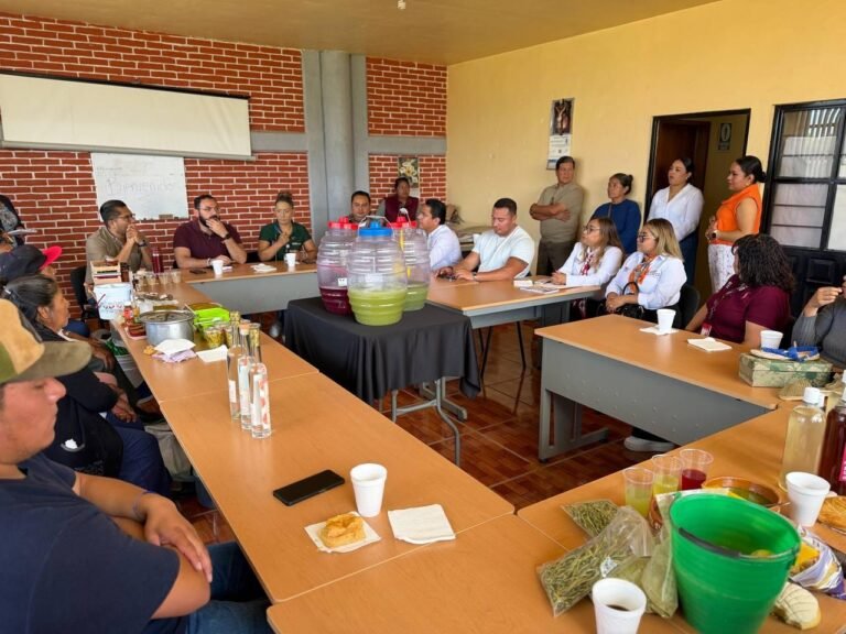 Alejandro Armenta Mier (Movimiento de Regeneración Nacional (MORENA)), actividad política documentada en Wikipol
