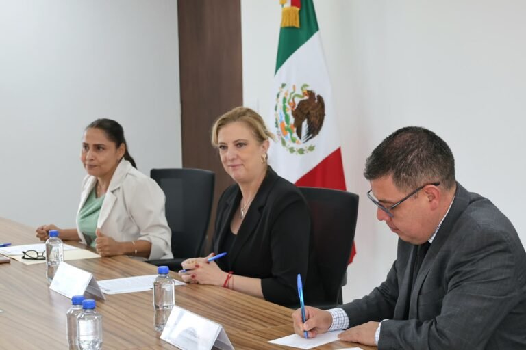 Alejandro Armenta Mier (Movimiento de Regeneración Nacional (MORENA)), actividad política documentada en Wikipol