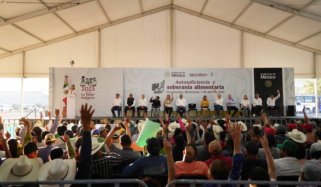 En Zinapécuaro, Michoacán, Presidenta da banderazo de salida a Cosechando Soberanía para aumentar la producción alimentaria en México